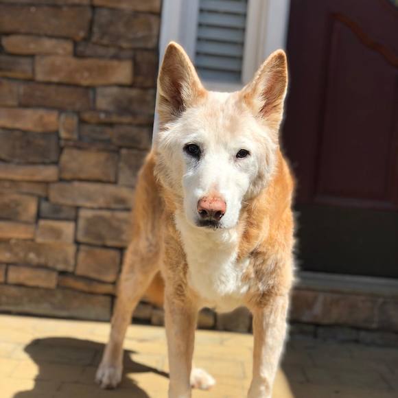 Meet your Posher, Julie - Picture 1 of 1